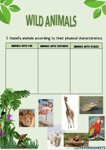 Wild animals' skins