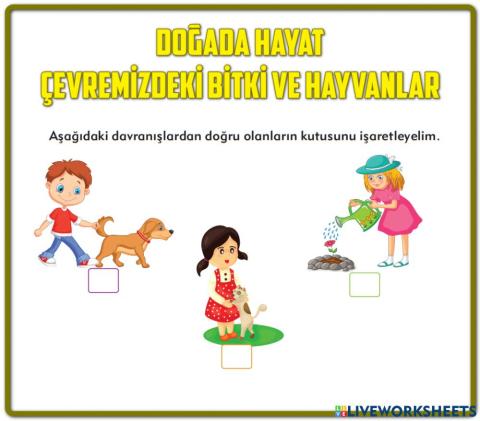 Doğada Hayat Çevremizdeki Bitki ve Hayvanlar