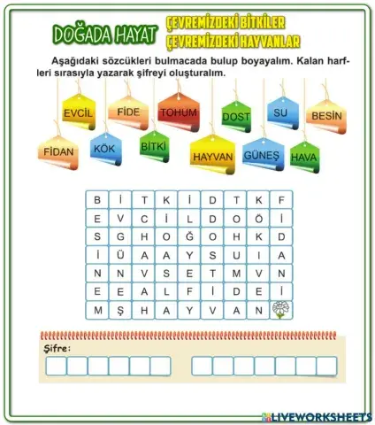 Doğada Hayat Çevremizdeki Bitki ve Hayvanlar