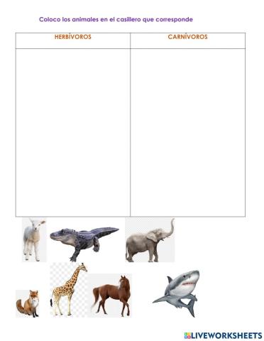 Animales carnívoros - herbívoros (Diag. omnív)