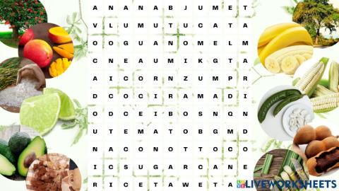 Flora local de Lambayeque