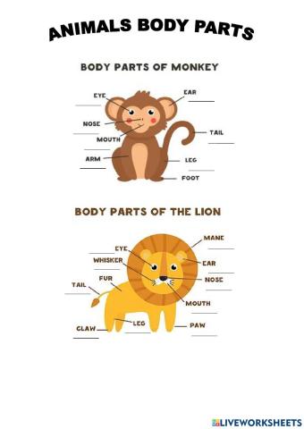 Animals body parts