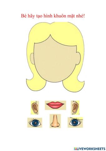 Bài tập ôn các bộ phận trên cơ thể. 25-36 tháng