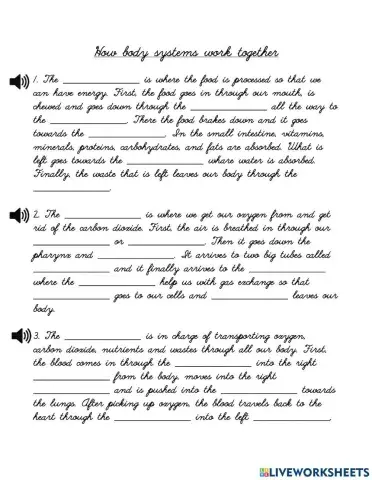 How body systems work together