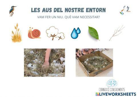 Què necessitem per fer un niu?