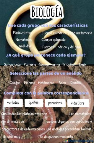 Platelmintos, Nematodos y Anélidos