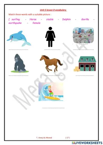 Mega goal 4 - unit 5 lesson 8 vocabulary