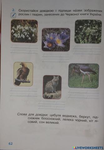 Рослини і тварини, які занесені до Червоної книги України.