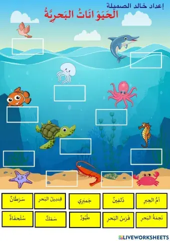 الحيونات البحرية