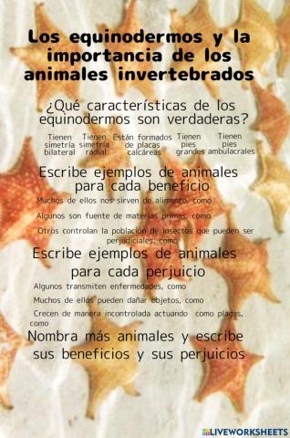 La importancia de los invertebrados