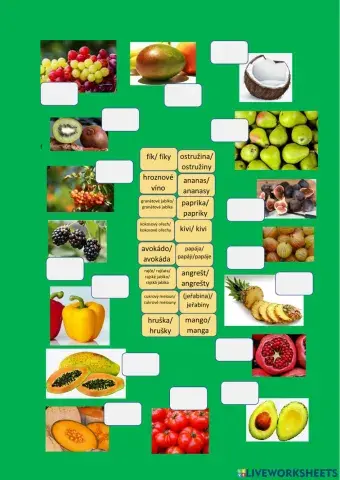 CDJ - plody - česky - drag and drop