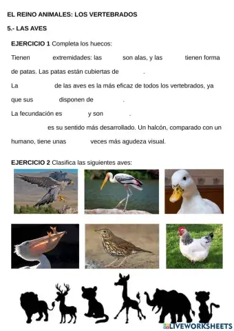 Las aves