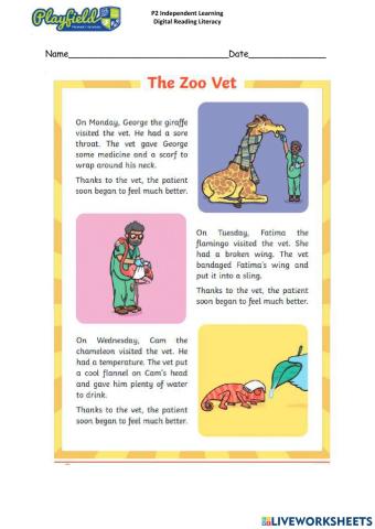 The Zoo Vet Reading Comprehension