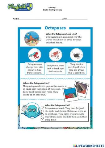 The Octopuses Reading Comprehension