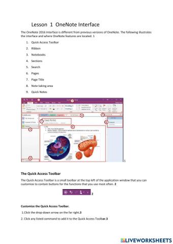 Lesson 1 Onenote Interface
