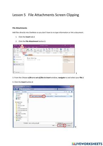 Lesson 5 Files Attachments and Screen Clippping
