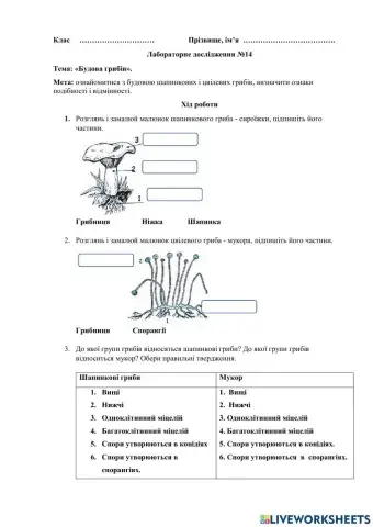 Будова грибів