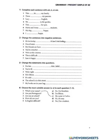 Grammar 1: Present Simple