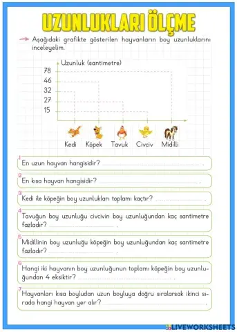 Uzunlukları Ölçme