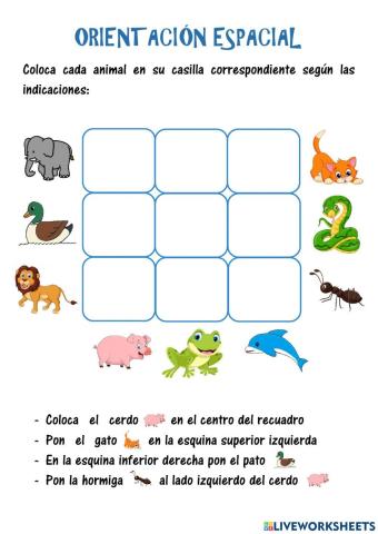 Orientación Espacial