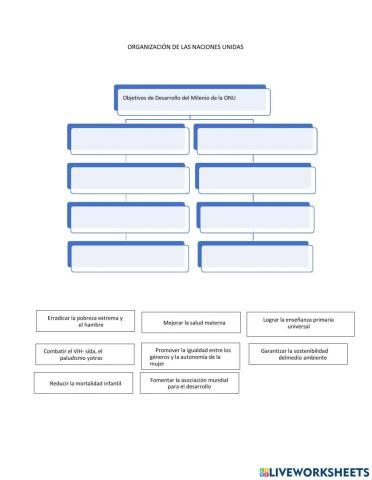 Organización de las Naciones Unidas