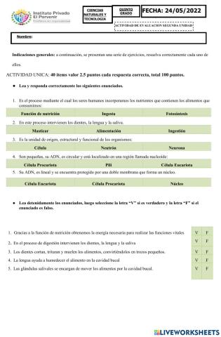 Evaluacion ciencias