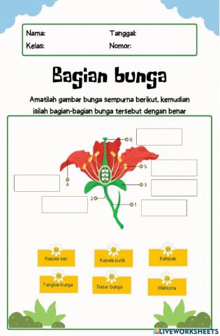 Bagian-bagian bunga