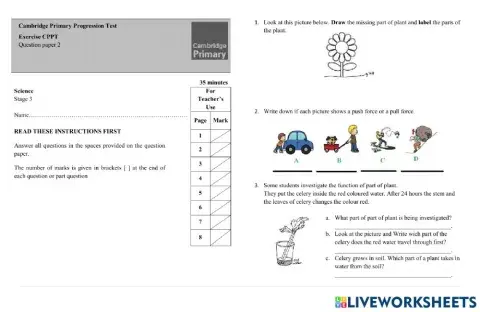 CPPT Preparation part 2 -2022