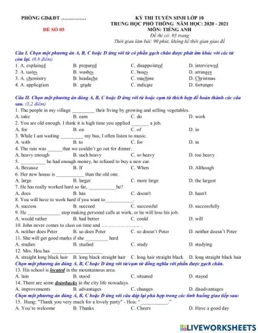 Mr Duy Lop 10 Test 05