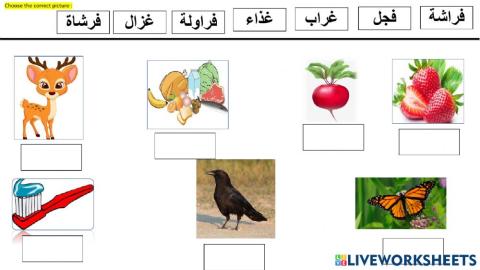 مراجعة حرف غ و ف