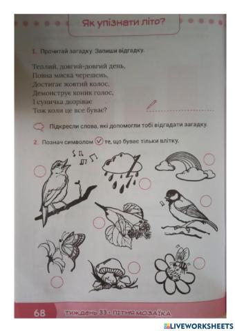 Зміни в природі літом