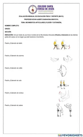 Flexión y Extensión
