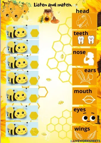 Body parts spelling2