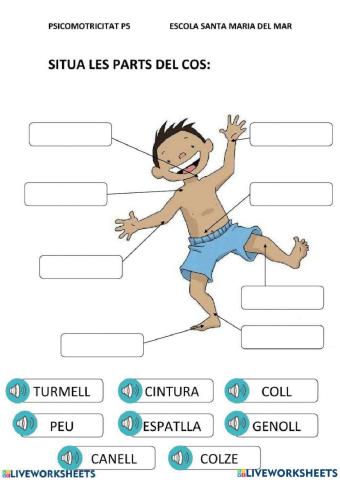 Parts del cos