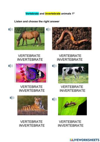Vertebrate and invertebrate animals 1º