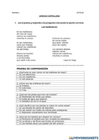 Lengua Castellana P1