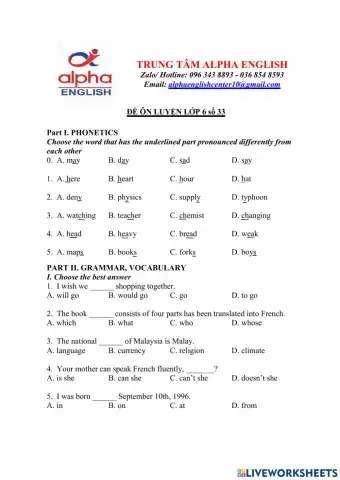 Đề luyện số 33 lớp 6 trường Amsterdam