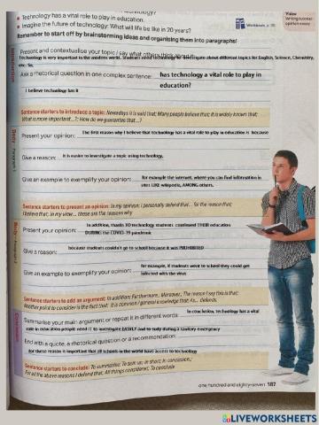 Opinion Essay example