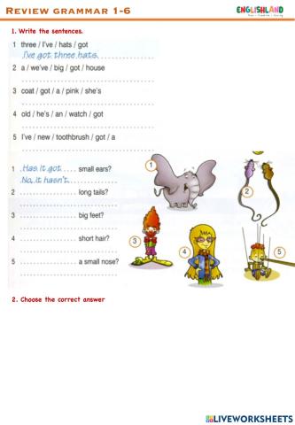 U1-6 grammar review