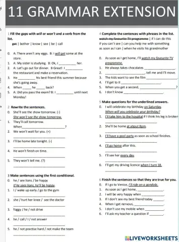 Future Bodies First Conditional when as soos as