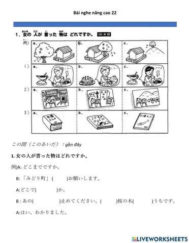 Bài nghe nâng cao 22