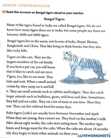 Comprehension grade 2