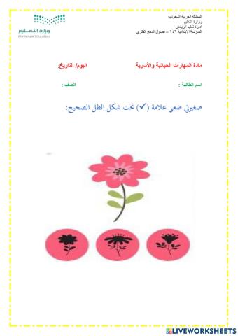 ورقة عمل تركيب2