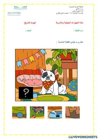 ورقة عمل تركيب4