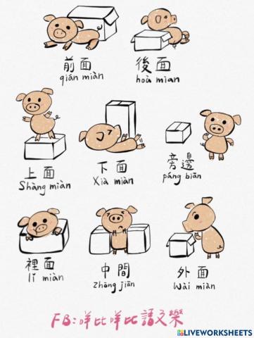 Chinese Location & Position Words方位詞