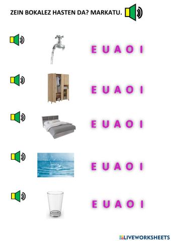 Zein bokalez hasten da? markatu 1