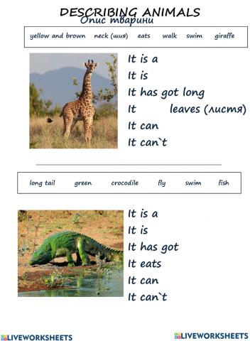 Describing animals