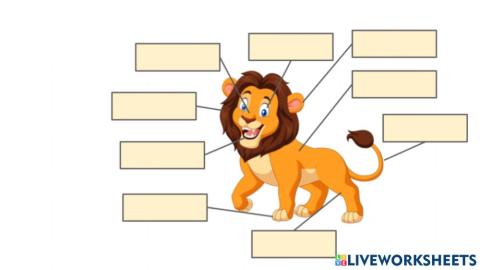Parts of the Lion