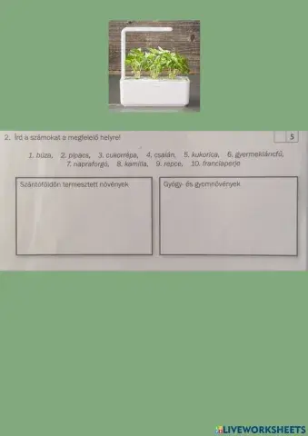 2.gyógy-gyomnövények