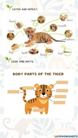 Parts of the animal